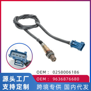 �m�Ø���206 308�ȁ���S6 S7 2.0L����1.6����620��܇����������