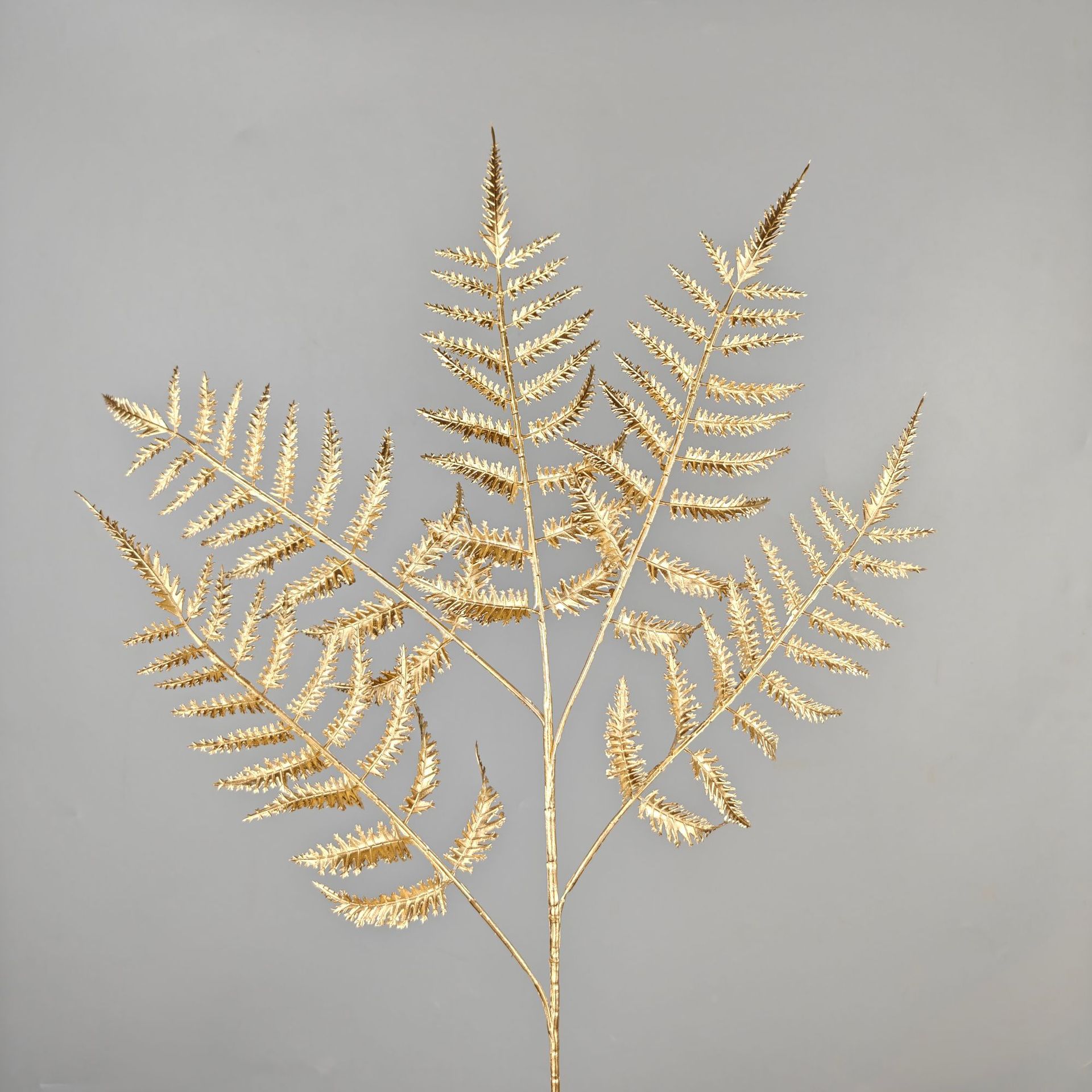 5 forks of joyful leaves