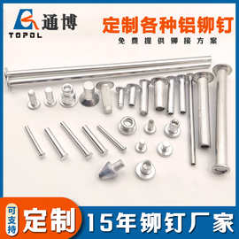 铝制半空心铆钉 厂家供应铝圆头实心铆钉 平头铝中空钉 搓花铝钉