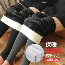 冬季加绒加厚踩脚打底裤女外穿一体绒保暖高腰东北棉裤大码不起球