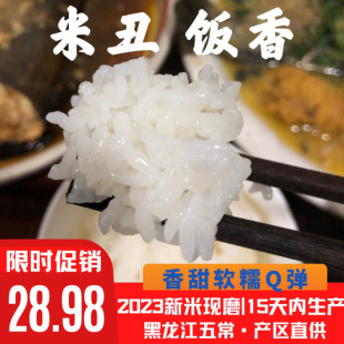 �|���峣�������̖10�����2̖�������ڴ���ѩ�����l�S2023����