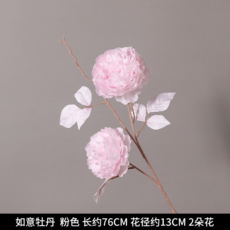 루이모란 2개/뤄양모란