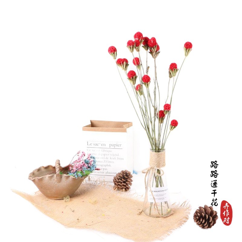 Luantong flor seca fruta de arce flor eterna fruta seca luantong decoración del hogar arte arreglo floral flor seca al por mayor