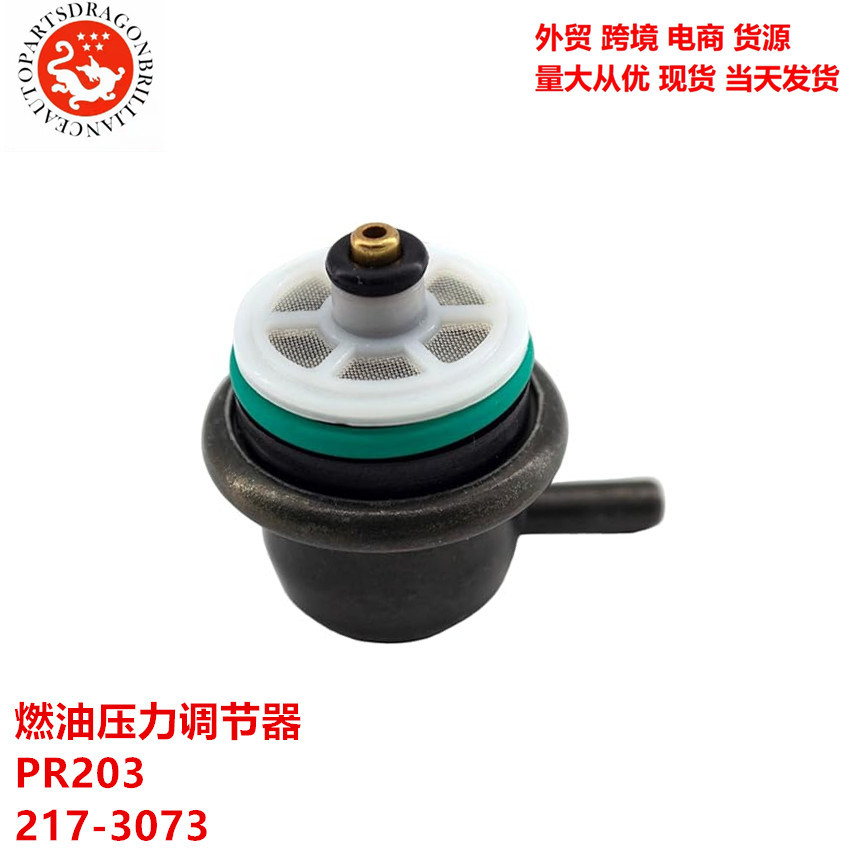 Regulador de presión de combustible transfronterizo PR203 217-3073 PR203 PR217 FP10021 FP10075