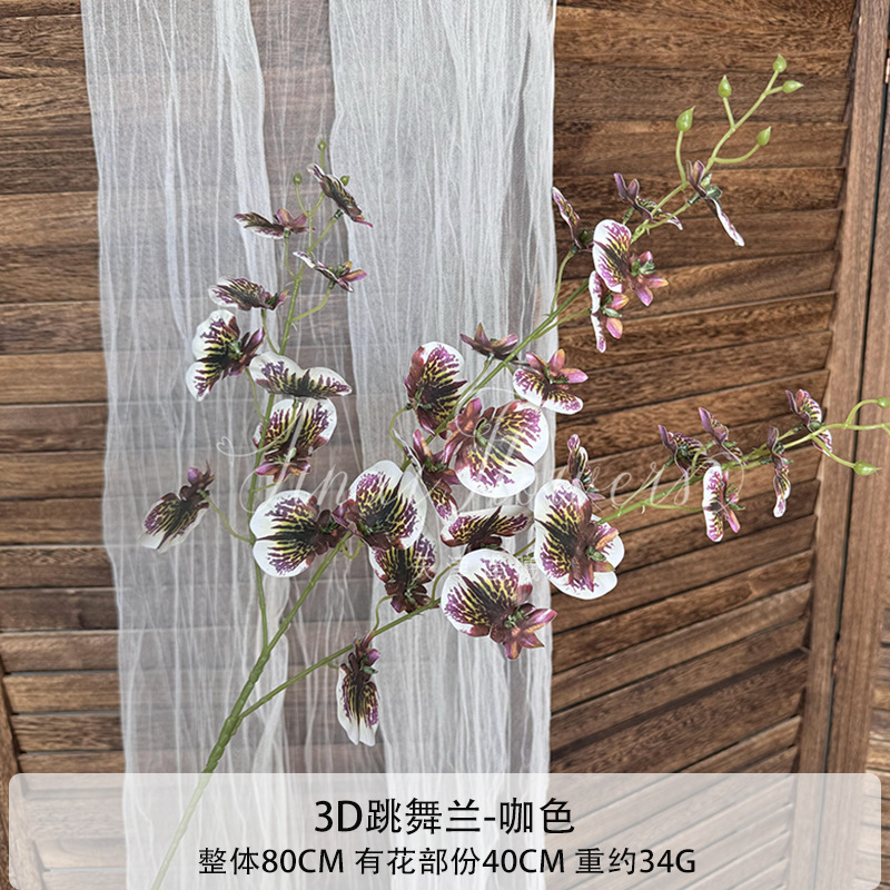 춤추는 난초