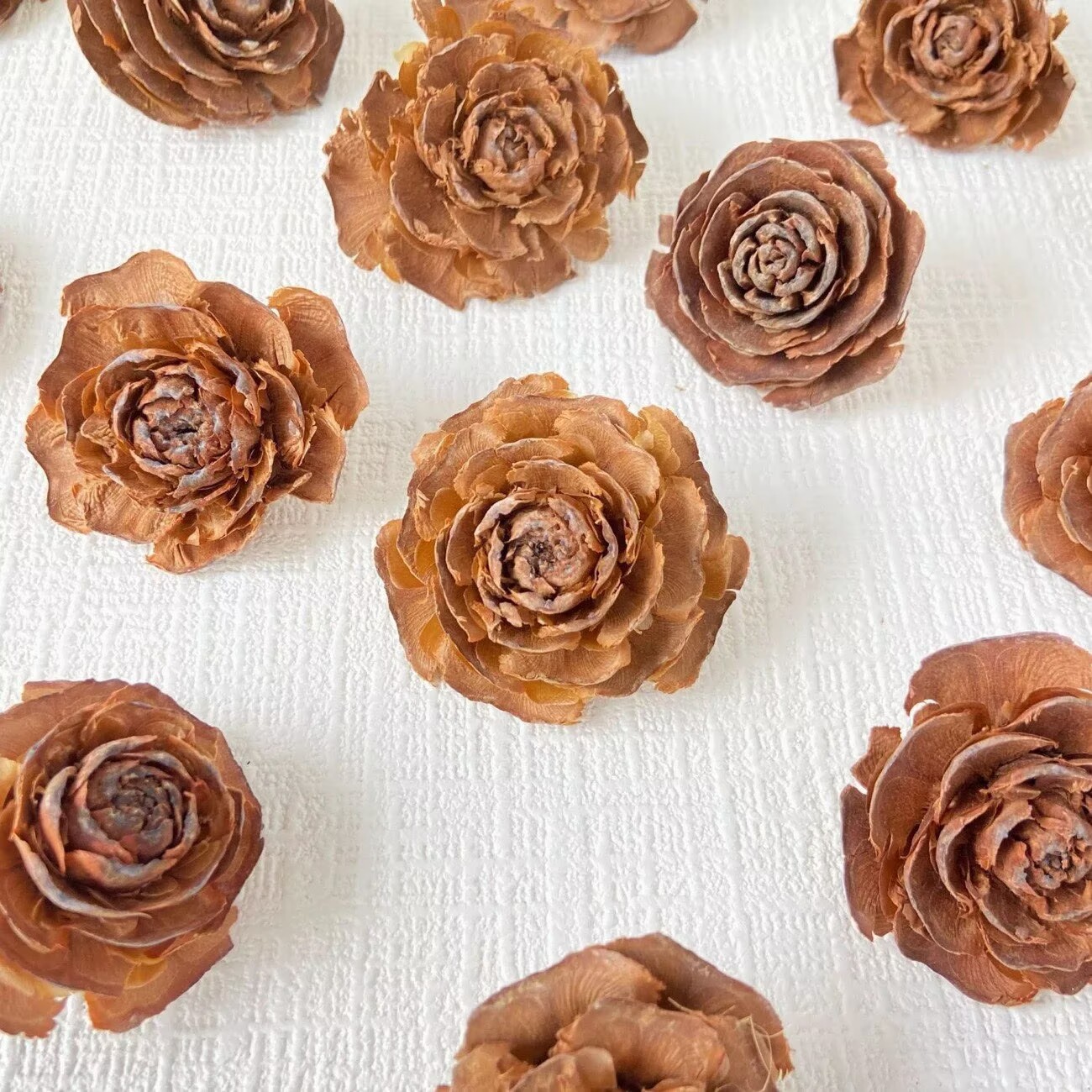 4FB7922DC57057F0E0A616958D2682