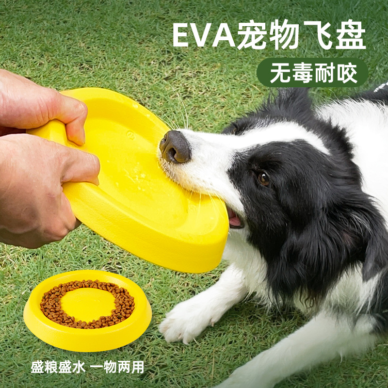 frisbee