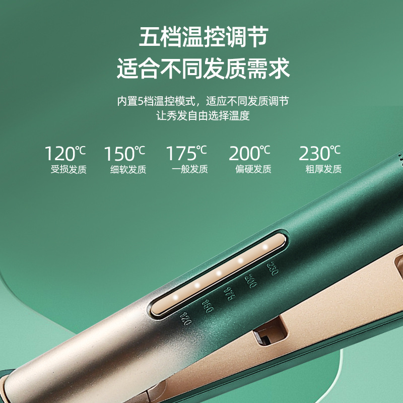 Electric Splint Hair Straightener Temperature Regulating Curling Iron Dual-purpose Straightening Iron Ceramic Straight Plate Clip