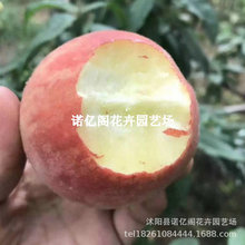 �޽��Ҙ���ɳ�t���Ҙ������Ե���ˮ���Ҙ����ϱ���ͥԺ�Nֲ������