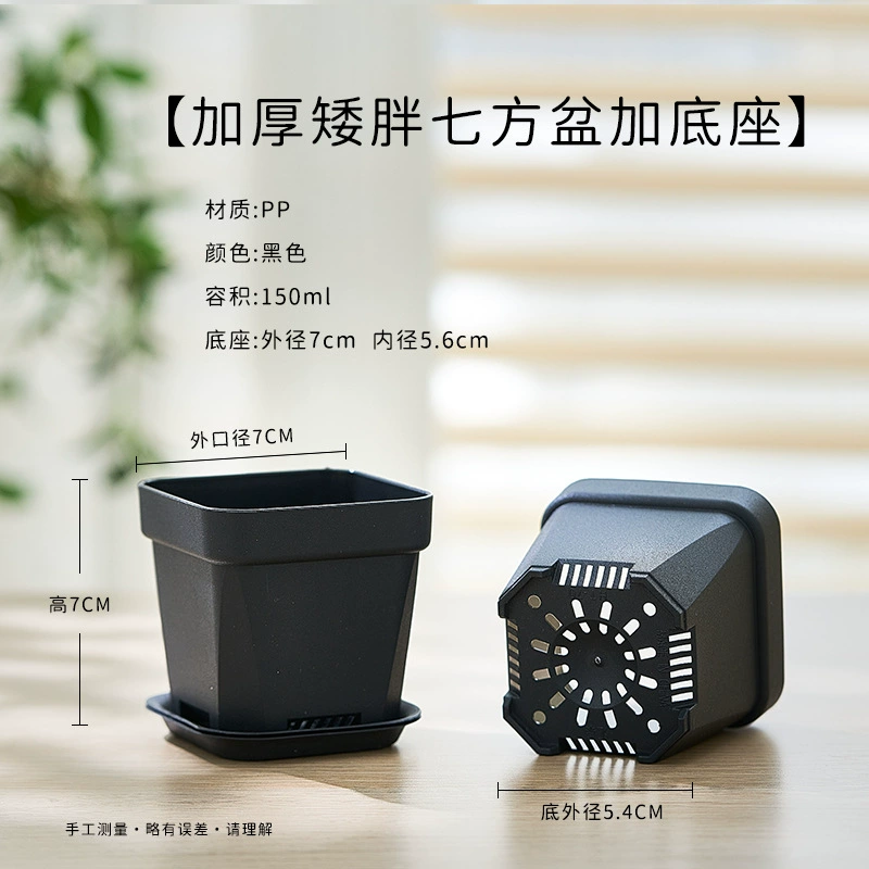 Горячие продажи водопроницаемая осьокорова Escargot Pot Pot Pot Плохой блюдо пластик пластик пластик пластик пласт пластинки Вставка Рули Пот Низкий