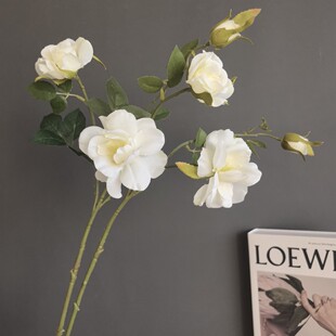 ���W��@3�^Ұ�NޱҰõ��ɽ�軨 �ҾӘӰ��g��c�}�Q�bٻ����l