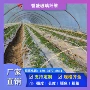 耐用定制农用量大纤维杆