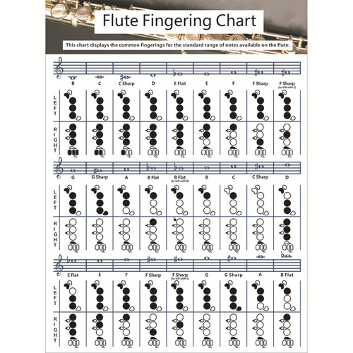 Wholesale flute chord fingering chart Flute Chord flute chord fingering chart Flute practice comparison chart