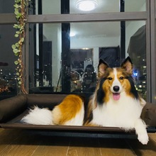 ܊ɲϴ؈߅CȮ؈CFˇxع|