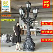 厂家供应景观灯户外广场道路庭院灯欧式复古特色LED铸铝景观灯柱