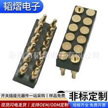 SߵؙC12Ppogopinp̖{CB