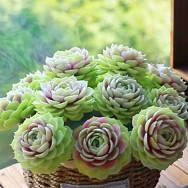 家具五金;肉品加工设备;餐桌