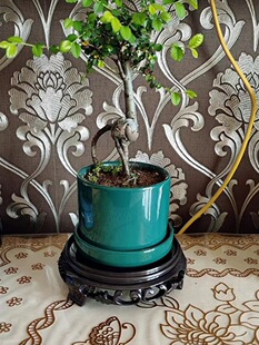���������бP�[���м���ʯ�����m���A�ε�����©ˮ��������ص���