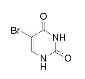 5-溴尿嘧啶 ;5-溴代嘧啶,5-溴-2,4(1H,3H)嘧啶二酮Cas号: 51-20-7
