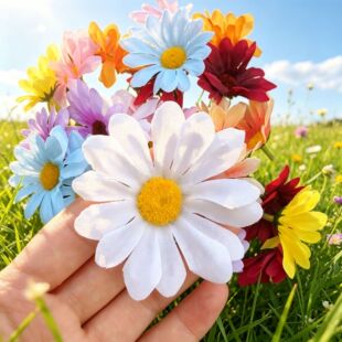 ����С�r�ջ��^�Ӽҿ͏d�b���Y��c�����ٻ�̫ꖻ����տ����^