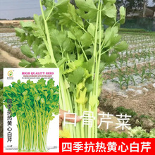 ���l�ˈ@Ժ���߲˷N���ļ������S������۷N��7�˲��� �S��ֱ�l