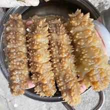 实体店批发黄玉参拉缸盐海参黄肉参深海白刺参酒席酒店滋补食材