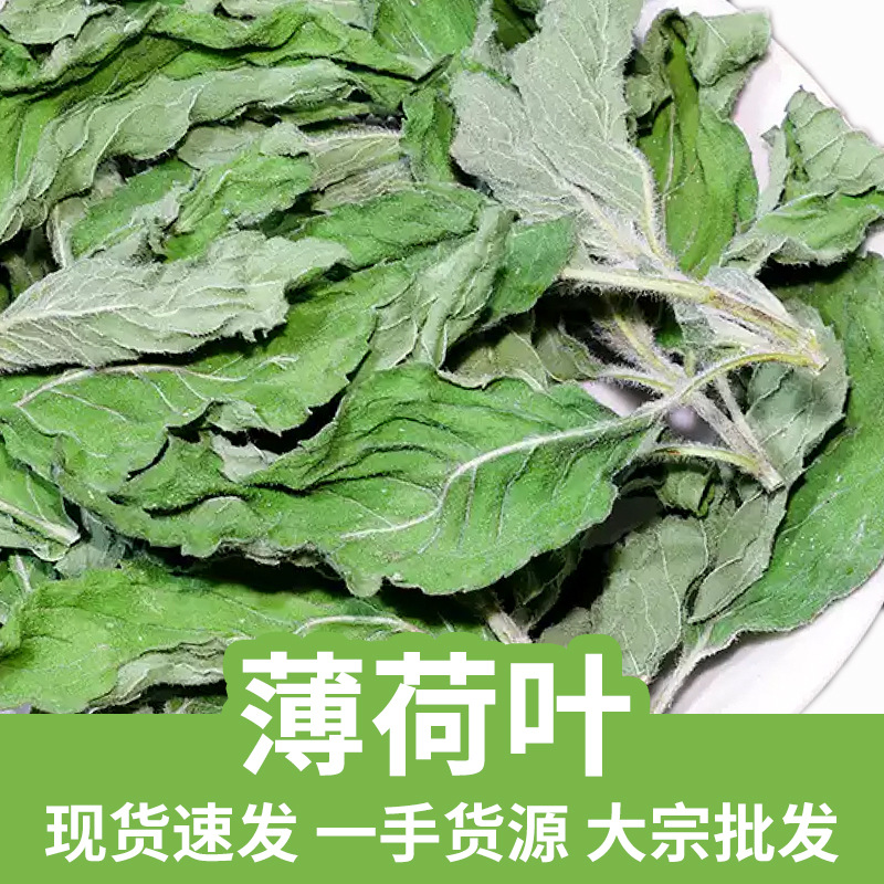 Dried Mint Leaf Tea Bo He Ye 500g Loose Herbal Tea for Brewing and Culinary Use key features