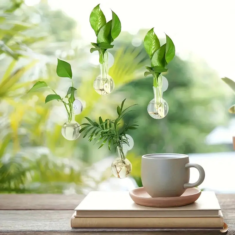 国境を越えた水培緑羅植物瓶プラスチック吊り下げ家庭園芸装飾アクリル壁掛け透明花瓶|undefined