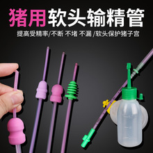 iݔƿ ĸiһݔƿ NҺƿF˹ھƿ