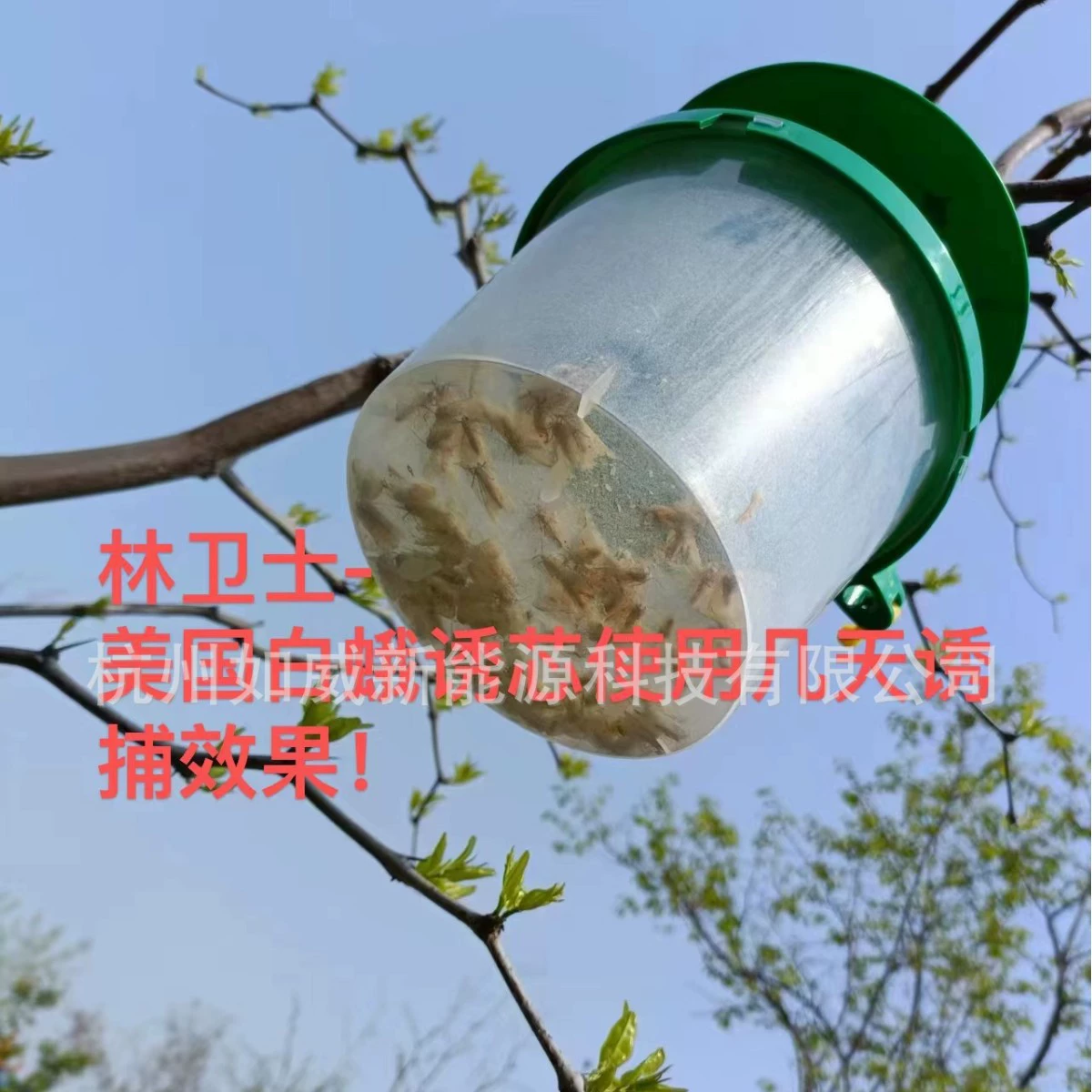 Forest Guardian PHL Lure Core Series American White Moth Lure Core Ловушка для приманки американской белой моли