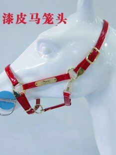 �R�\�^���R�\�^��Ƥ�������׿��{���\�^���R���^�R���R�g�������