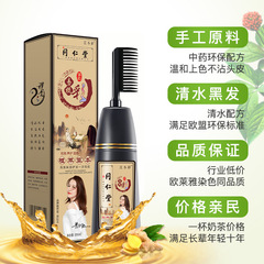Plant Pure One-Brush Black Clear Shampoo, No Hair Damage, Natural Black Cover Gray Hair Dye Paste Brush