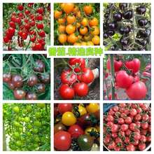 ļСѷNәҷ}ŮtN̨߲ˮN