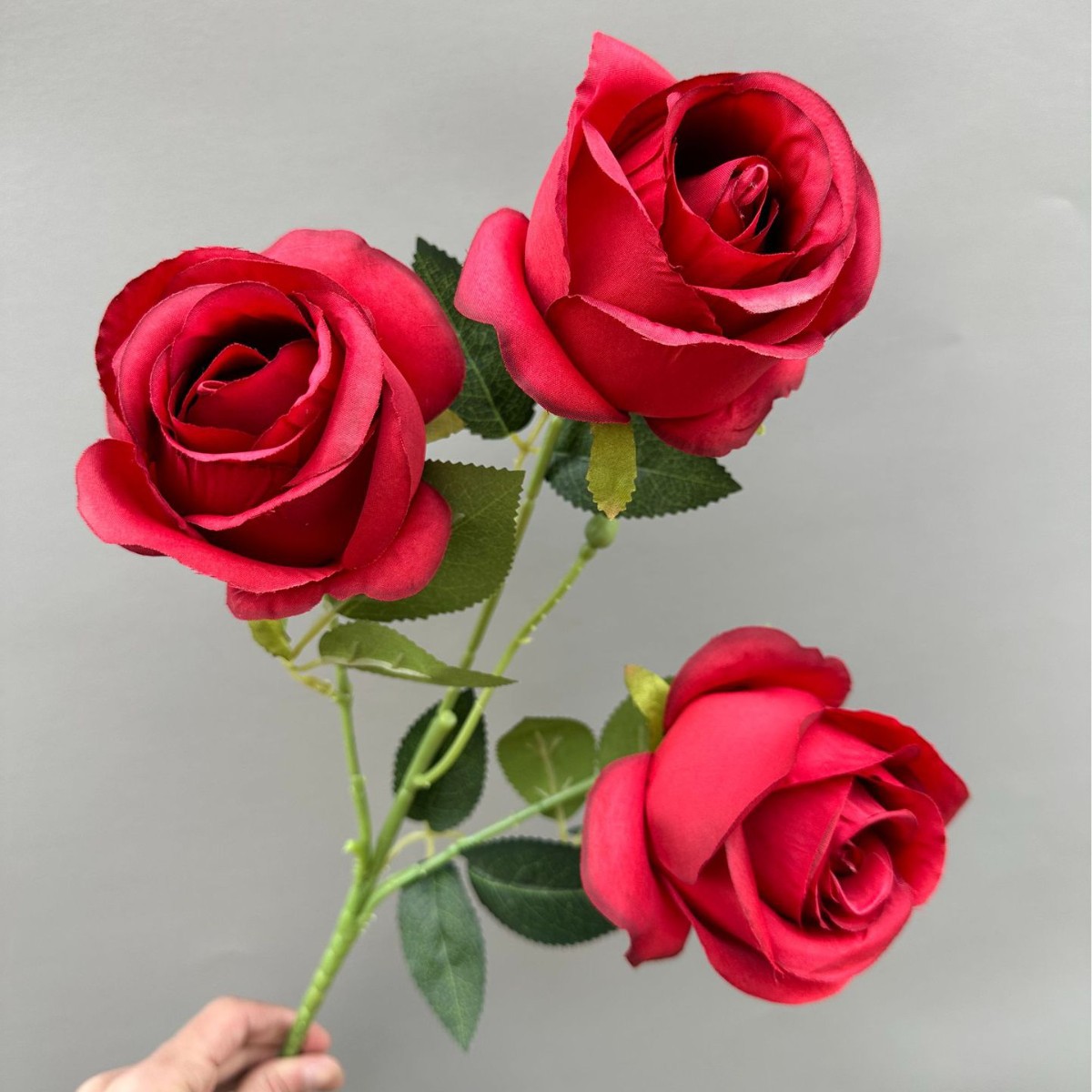 빨간색