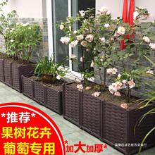 家庭特大户外专用阳台种菜盆 组合种植箱 长方形花箱塑料花盆花槽