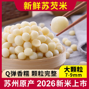 �a��ֱ���ؼ��K���r���r�͌��u�^�����r�K���u�^�װ��͌��״���