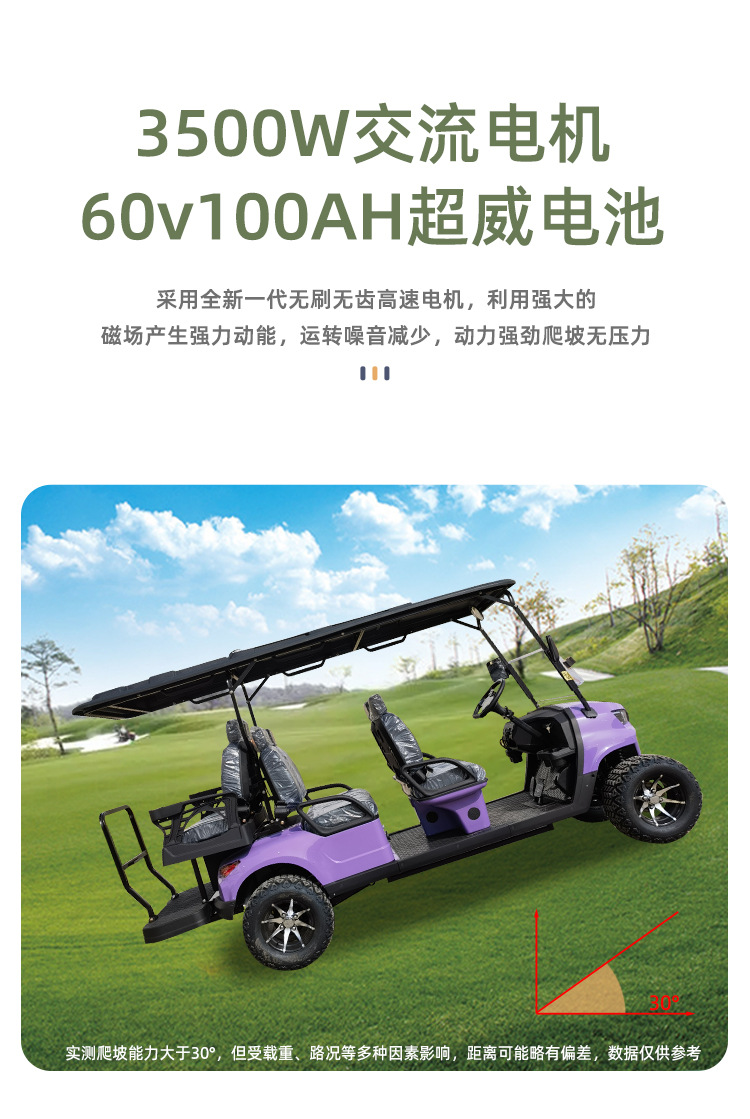 Electric Golf Sightseeing Car, Golf Cart for Tourist Areas, Electric Tour and Sightseeing Shuttle Vehicle for Property Viewings