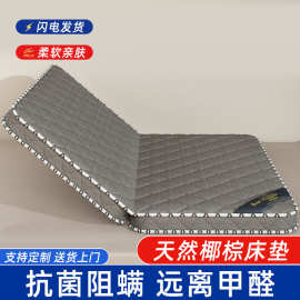 天然椰棕床垫偏硬环保家用棕垫儿童乳胶双人折叠式卧室垫子经济型