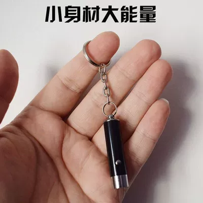 Purple light strong light flashlight with 21 LED ultraviolet UV green light for home use, nail art, strong light scorpion lamp, new model (UV fənərlər) - chengqi-1-lamp-bead-purple-light-comes-with-4-electrons-limited-special-price