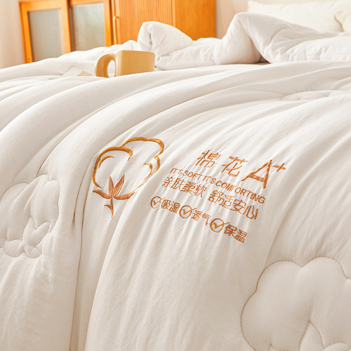 Xinjiang cotton quilt warm quilt spring and autumn quilt core single and double autumn and winter quilt student cotton pure cotton quilt wholesale