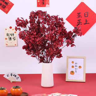 ӭ�Ͷ��������ɻ�������diy�ֹ�����Y�ﱧ��Ͱ�y�����������b�