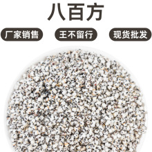 王不留行炒王不留行籽500g克可搭路路通通草正品现货批发