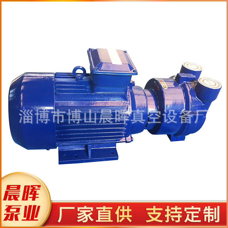 真空设备品牌厂家 2BV2070/2071水环式真空泵  防爆 耐腐蚀液环泵