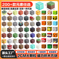 我的磁力世界DIY积木块儿童益智玩具大颗粒公仔城堡模型摆件 散装