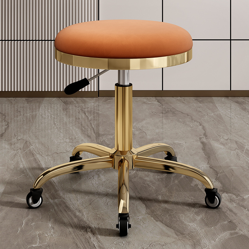 silla de dentista de estética elevadora polea de manicura silla giratoria silla de computadora silla de laboratorio maestro taburete