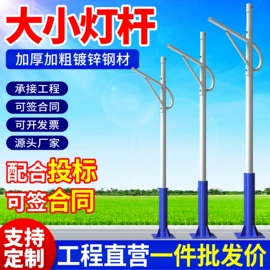 太阳能灯;灯柱灯杆;道路照明灯