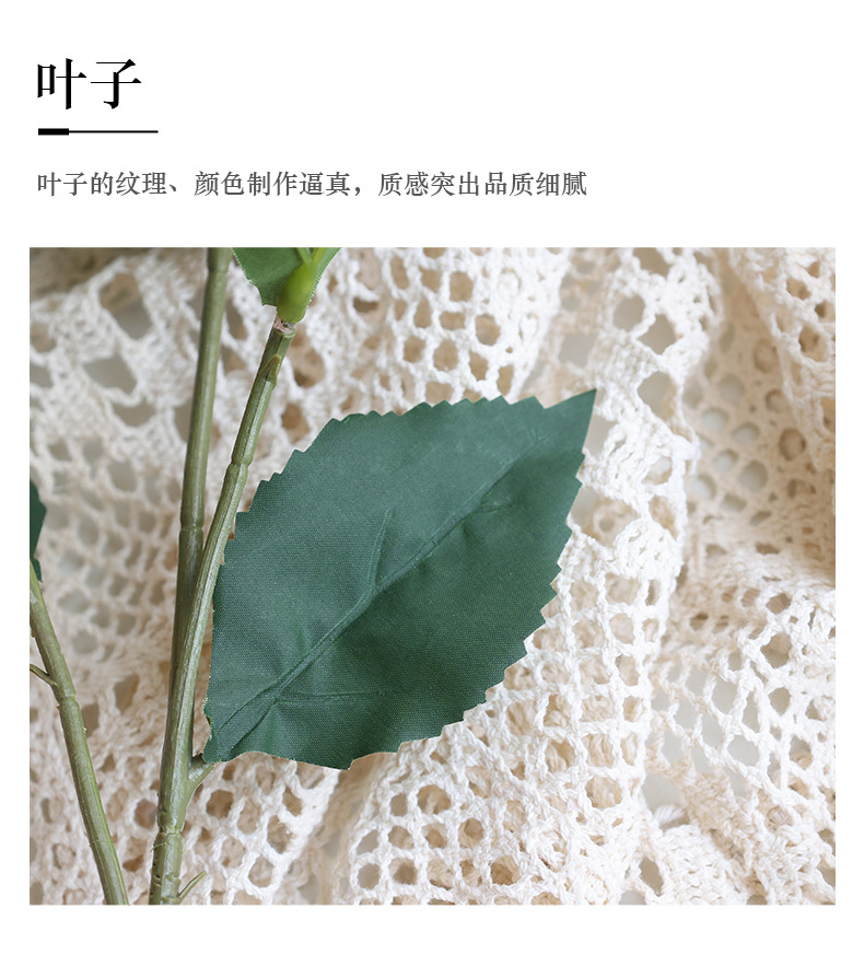 安知八仙绣球花_12.jpg