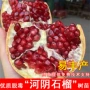 突尼斯会理软籽红玛瑙石榴