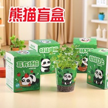 可爱熊猫绿植室内花卉盆栽学生桌面土培植物摆件创意种植盲盒批发