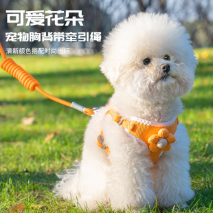 Dog Traction Rope Vest Teddy Bitter Small Dog Chest Strap Cat Walking Rabbit Rope Chain Pet Supplies